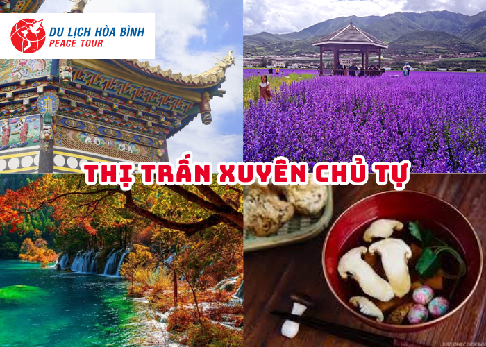 TIN-TUC-KHAC